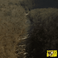 ravenbanner movie film movies films GIF