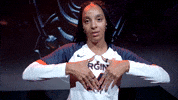 Uva Go Hoos GIF by Virginia Athletics