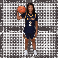 Womens Basketball Sticker by WVU Tech Golden Bears