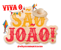 whyscomunicacao festa alegria bahia festejo Sticker