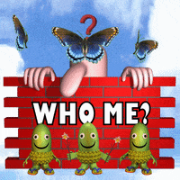 It Was Me Im The One GIF