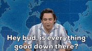 Snl GIF by Saturday Night Live