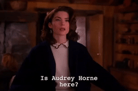 season 2 GIF by Twin Peaks on Showtime