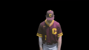 baseball GIF by CUCougars
