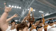 Track Field Sport GIF by NCAA Championships