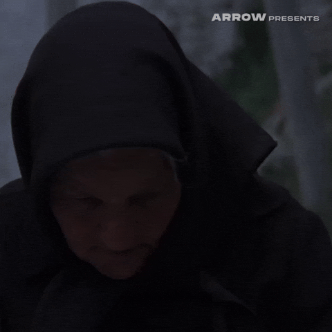 Italian Film GIF by Arrow Video