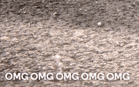 emoji omg GIF by Moto