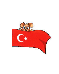 Celebration Ataturk Sticker by Tiny Minies