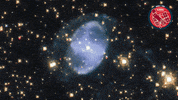 Universe Cosmos GIF by ESA/Hubble Space Telescope