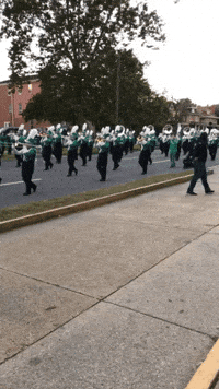 we are marshall band GIF by Marshall University