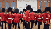 The Pack Dog GIF by Amazon Prime Video