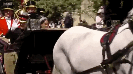 royal wedding GIF by BBC