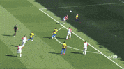 selecao brasileira soccer GIF by Confederação Brasileira de Futebol