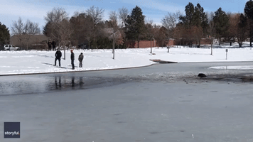 Firefighter Crawls Across Frozen Lake to Rescue Dog