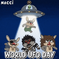 Flying Area 51 GIF