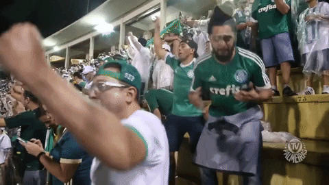 gol GIF by SE Palmeiras