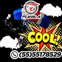 cool jump skydive tandem vuela GIF