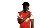 Celebrate Premier League Sticker by Arsenal