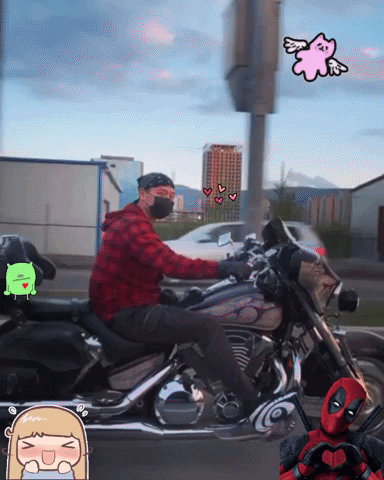 TeaWithAlice giphygifmaker giphyattribution GIF