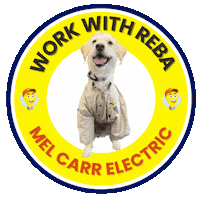 Dog Reba Sticker by Mel Carr Electric