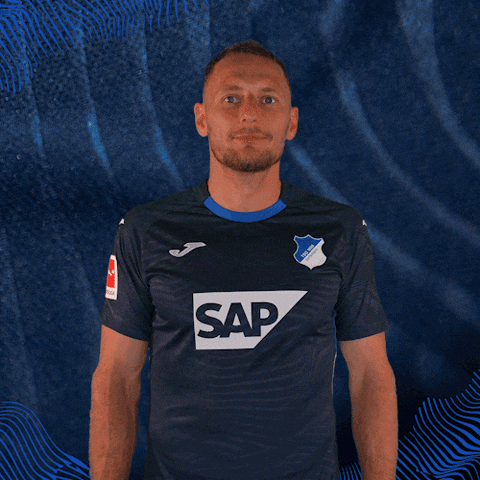 Sport Bundesliga GIF by TSG Hoffenheim
