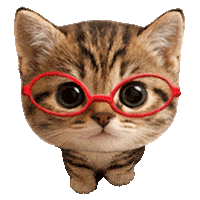 Cat Moving Sticker