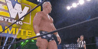 Billy Gunn Aew On Tnt GIF by All Elite Wrestling on TNT