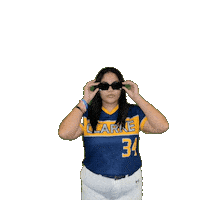 Clarke Softball Sticker by Clarke University