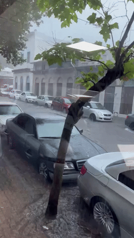 Heavy Rains Lead to Flooding in Montevideo