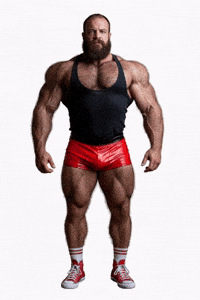 Gay Bear GIF by Database數據