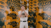 Baseball Bison GIF by NDSU Athletics