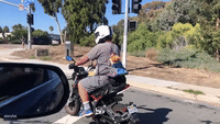 Doggy Bag: Pooch Hitches Ride in Biker's Backpack