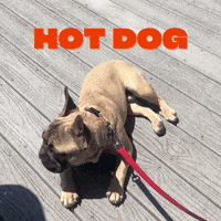 GIF by JUDY