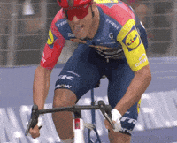 Finish Line Win GIF