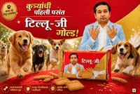 Bjp Nitesh GIF by HackerMarathi.IN