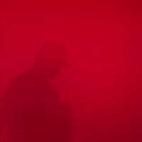 Texas Tech GIF by Texas Tech Baseball