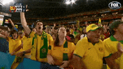 Soccer Celebrate GIF by Football Australia