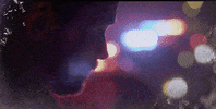 cardinal GIF by CTV