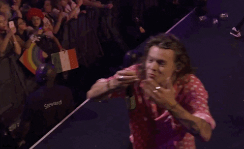 one direction harry GIF