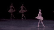 lincoln center dance GIF by New York City Ballet