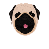 Pug Appa Sticker