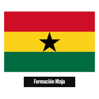 Flag Pixel Art Sticker by Formación Ninja