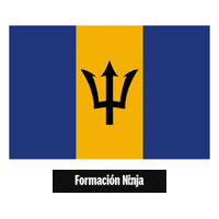 Flag Pixel Art Sticker by Formación Ninja