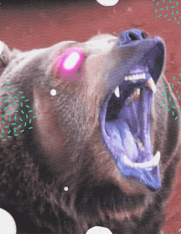 Bear Laser GIF by Black Math