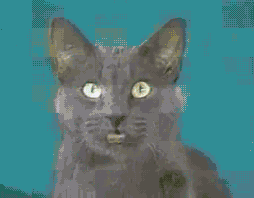 John Sullivan Face GIF