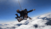 Happy Fun GIF by Airborne Petawawa