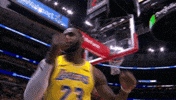 shimmying lebron james GIF by NBA