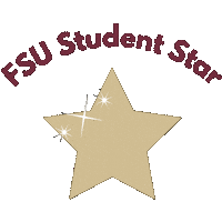 Star Gold Sticker by Florida State University