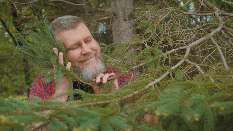 Relax Relaxing GIF