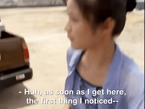 the mystery files of shelby woo nicksplat GIF